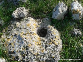 traro-09-12-2015 17-42-56